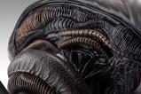 15-Alien-Romulus-Busto-11-Xenomorph-53-cm.jpg