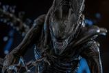 02-Alien-Romulus-Figura-Movie-Masterpiece-16-Scorched-Xenomorph-44-cm.jpg