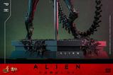 05-Alien-Romulus-Figura-Movie-Masterpiece-16-Scorched-Xenomorph-44-cm.jpg