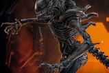 08-Alien-Romulus-Figura-Movie-Masterpiece-16-Scorched-Xenomorph-44-cm.jpg