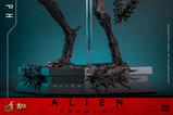 09-Alien-Romulus-Figura-Movie-Masterpiece-16-Scorched-Xenomorph-44-cm.jpg