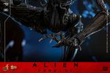 11-Alien-Romulus-Figura-Movie-Masterpiece-16-Scorched-Xenomorph-44-cm.jpg