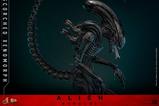 14-Alien-Romulus-Figura-Movie-Masterpiece-16-Scorched-Xenomorph-44-cm.jpg