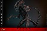 17-Alien-Romulus-Figura-Movie-Masterpiece-16-Scorched-Xenomorph-44-cm.jpg