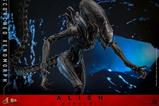 18-Alien-Romulus-Figura-Movie-Masterpiece-16-Scorched-Xenomorph-44-cm.jpg