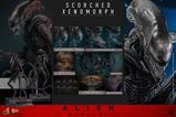 20-Alien-Romulus-Figura-Movie-Masterpiece-16-Scorched-Xenomorph-44-cm.jpg