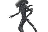 01-Alien-Romulus-Figura-Ultimate-Xenomorph-XX121-18-cm.jpg