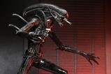 04-Alien-Romulus-Figura-Ultimate-Xenomorph-XX121-18-cm.jpg