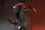 08-Alien-Romulus-Figura-Ultimate-Xenomorph-XX121-18-cm.jpg