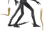 15-Alien-Romulus-Figura-Ultimate-Xenomorph-XX121-18-cm.jpg