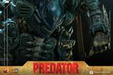 14-Alien-vs-Predator-Figura-Comic-Masterpiece-16-Broken-Tusk-Predator-35-cm.jpg