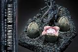 20-Aliens-Film-Ultimate-Diorama-Masterline-Estatua-Warrior-Xenomorph-for-Queen-.jpg