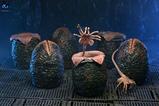 02-Aliens-Pack-de-6-Accesorios-Carton-of-Alien-Eggs-40th-Anniversary.jpg