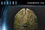 01-Aliens-Premium-Masterline-Series-Estatua-Xenomorph-Egg-Closed-Version-Alien-C.jpg