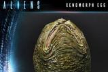04-Aliens-Premium-Masterline-Series-Estatua-Xenomorph-Egg-Closed-Version-Alien-C.jpg