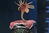 04-Aliens-Ultimate-Figura-Warrior-1986-Xenomorph-Black-40th-Anniversary-23-cm.jpg