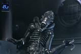 05-Aliens-Ultimate-Figura-Warrior-1986-Xenomorph-Black-40th-Anniversary-23-cm.jpg