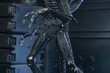 06-Aliens-Ultimate-Figura-Warrior-1986-Xenomorph-Black-40th-Anniversary-23-cm.jpg