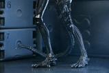 10-Aliens-Ultimate-Figura-Warrior-1986-Xenomorph-Black-40th-Anniversary-23-cm.jpg
