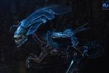 03-aliens-ultra-deluxe-figura-alien-queen-40th-anniversary-38-cm.jpg