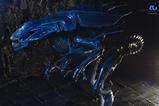06-aliens-ultra-deluxe-figura-alien-queen-40th-anniversary-38-cm.jpg