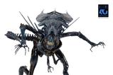 14-aliens-ultra-deluxe-figura-alien-queen-40th-anniversary-38-cm.jpg