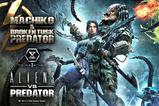 02-Aliens-vs-Predator-Comic-Ultimate-Premium-Masterline-Statue-14-Machiko--B.jpg