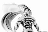 04-Batman-PX-Estatua-PVC-18-SDCC-2024-Superman-Black--White-Version-30-cm.jpg