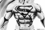 10-Batman-PX-Estatua-PVC-18-SDCC-2024-Superman-Black--White-Version-30-cm.jpg