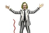 02-Beetlejuice-1988-Figura-Beetlejuice-Black-and-White-Striped-Suit-18-cm.jpg