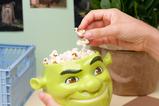 05-Bowl-3D-Shrek.jpg