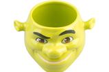 06-Bowl-3D-Shrek.jpg