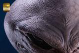 05-Busto-tamao-real-Reptilian-Grey-56-cm.jpg