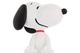 02-Cable-Guy-Snoopy-Peanuts.jpg