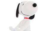 03-Cable-Guy-Snoopy-Peanuts.jpg