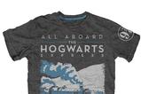 01-camiseta-all-aboard-the-hogwarts-express.jpg