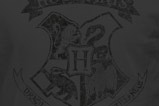 01-Camiseta-logo-Hogwarts-Harry-Potter.jpg
