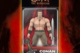 03-Conan-el-Brbaro-1982-Figura-Deluxe-Conan-Iconic-Pose-18-cm.jpg