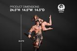 65-Conan-el-Brbaro-Estatua-14-Conan-Deluxe-Edition-63-cm.jpg