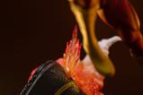 09-dc-comics-estatua-110-art-scale-flash-25-cm.jpg