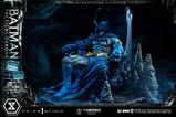06-DC-Comics-Estatua-13-Throne-Legacy-Collection-Batman-Tactical-Throne-Economy-.jpg