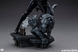 12-DC-Comics-Estatua-14-Catwoman-47-cm.jpg