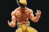 09-Deadpool--Wolverine-Marvel-Legends-Figura-Wolverine-15-cm.jpg