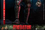 03-Depredador-Figura-Movie-Masterpiece-16-Predator-20-Deluxe-Version-34-cm.jpg