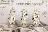 05-Disney-Princess-Series-Busto-PVC-Aurora-15-cm.jpg