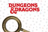 03-dungeons--dragons-rplica-keys-from-the-golden-key-limited-edition.jpg