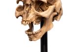 06-El-Seor-de-los-Anillos-Estatua-Skull-of-a-Moria-Orc-13-cm.jpg