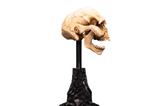 07-El-Seor-de-los-Anillos-Estatua-Skull-of-a-Moria-Orc-13-cm.jpg