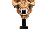 10-El-Seor-de-los-Anillos-Estatua-Skull-of-a-Moria-Orc-13-cm.jpg