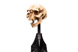 12-El-Seor-de-los-Anillos-Estatua-Skull-of-a-Moria-Orc-13-cm.jpg